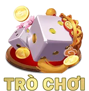 Biểu tượng tường lửa